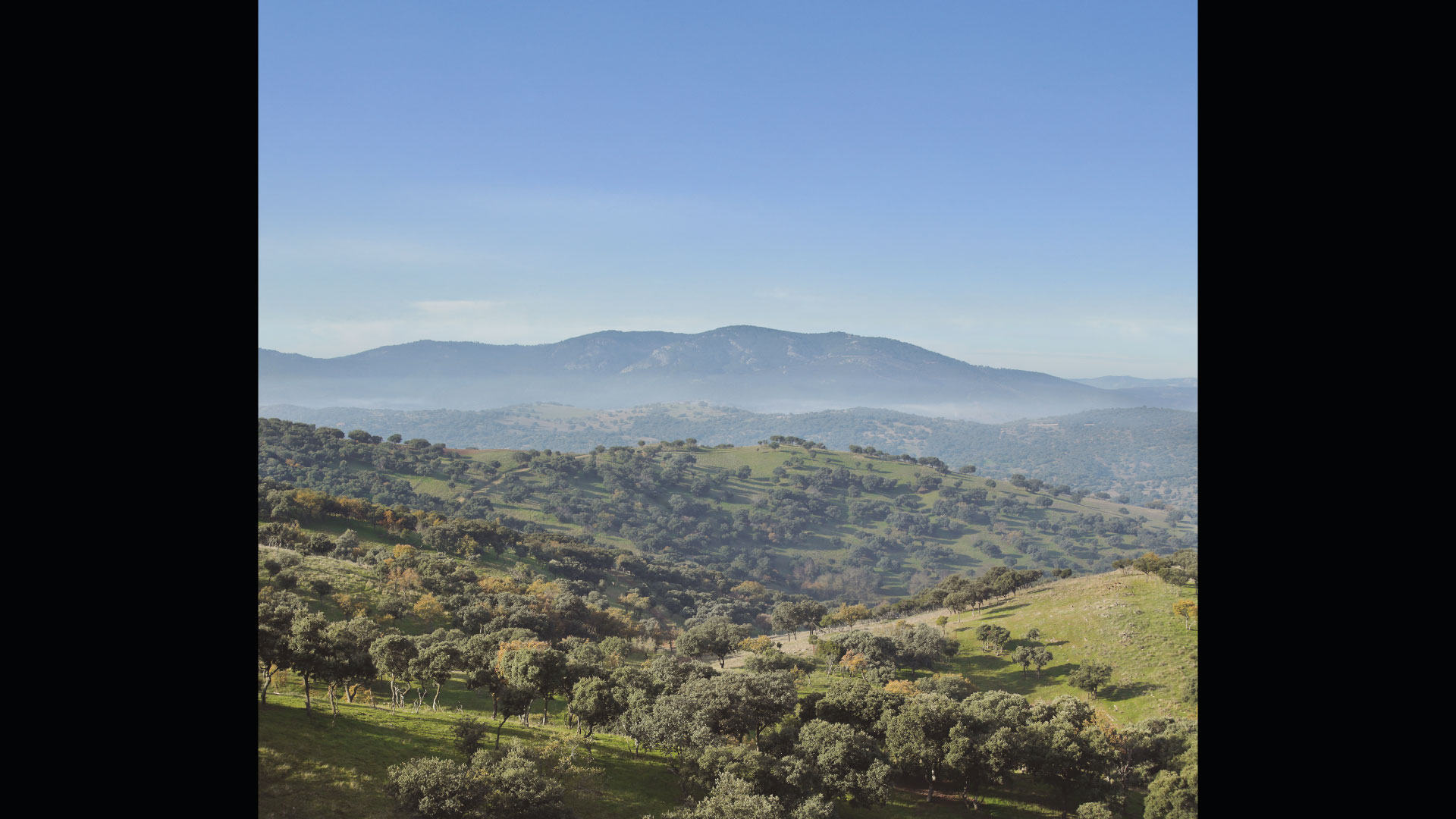 artemonte_paisaje_web_02